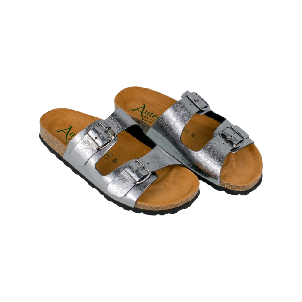 Sandalia Plana Mujer, marca Autenti, Modelo 11096, plata